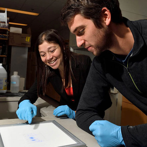 A student and a professor inspecting a skull